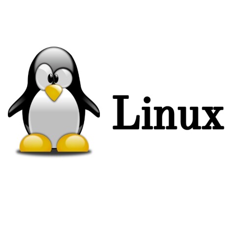 ПЕРЕХОД НА LINUX: НОВАЯ ВЕРСИЯ ПО PLATFORMS ДЛЯ АВТОМОБИЛЬНЫХ ВЕСОВ ВА-П